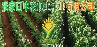 Zhongnong Seed Industry